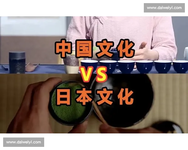 日本VS站：探索日本与世界跨文化交流的独特平台与影响力